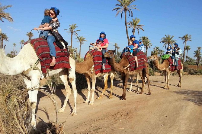 Berber camel safari