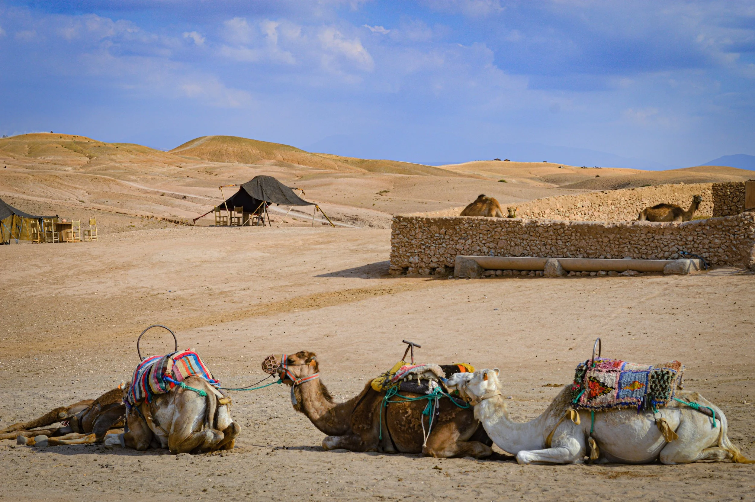 Agafay Desert camel ride