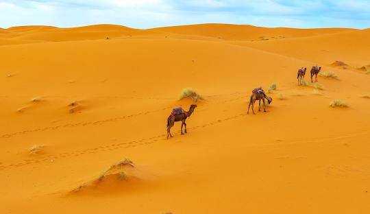 Ait Ben Haddou Morocco