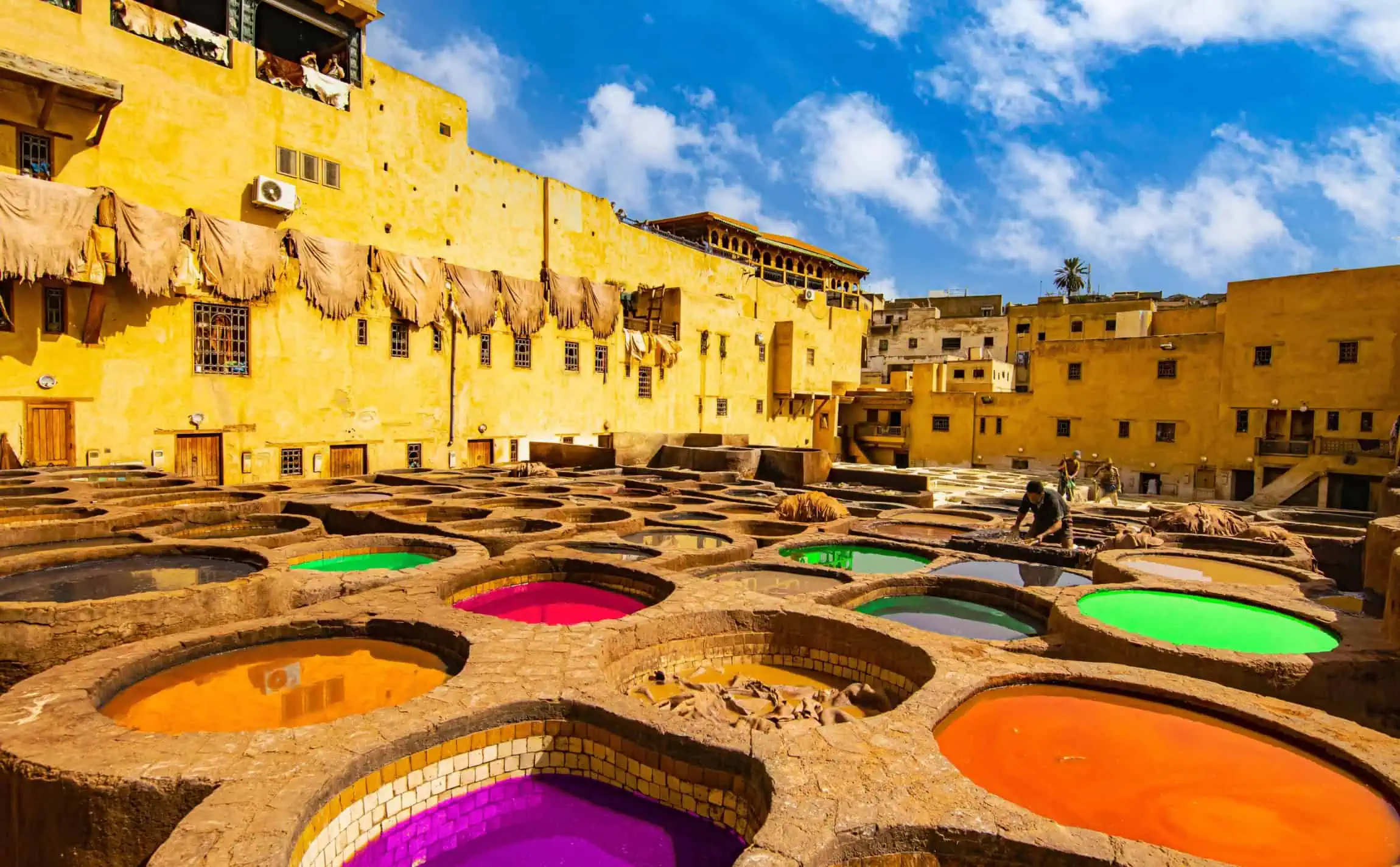 Fes cultural discovery