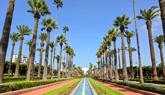 8 Days from Casablanca to Fes